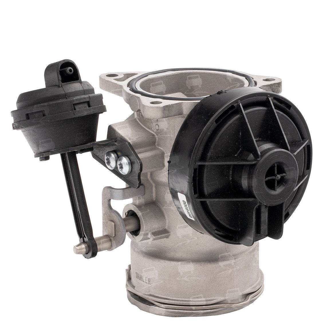 VALVOLA EGR NUOVA / ADATTABILE COD:3REGR0062A