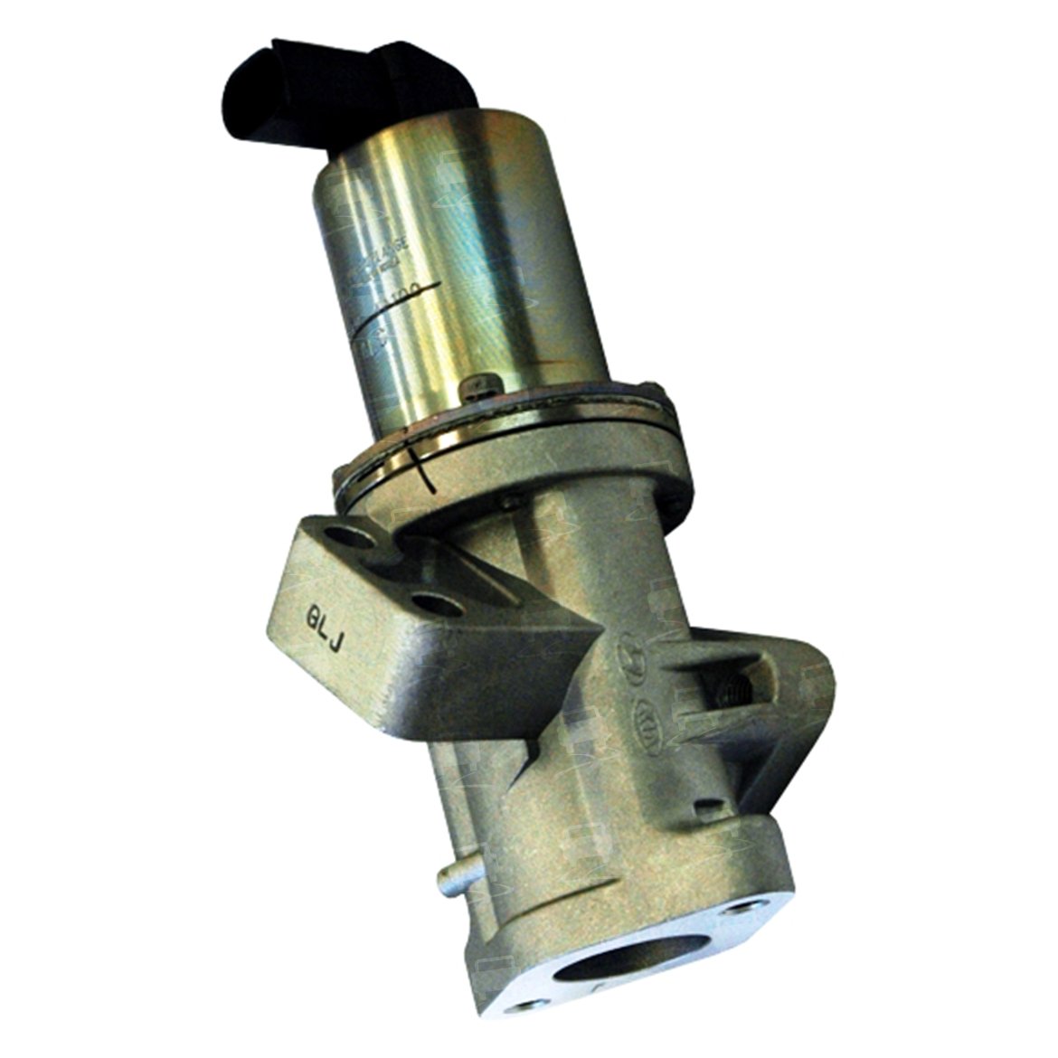 VALVOLA EGR NUOVA / ADATTABILE            COD:3REGR0021A